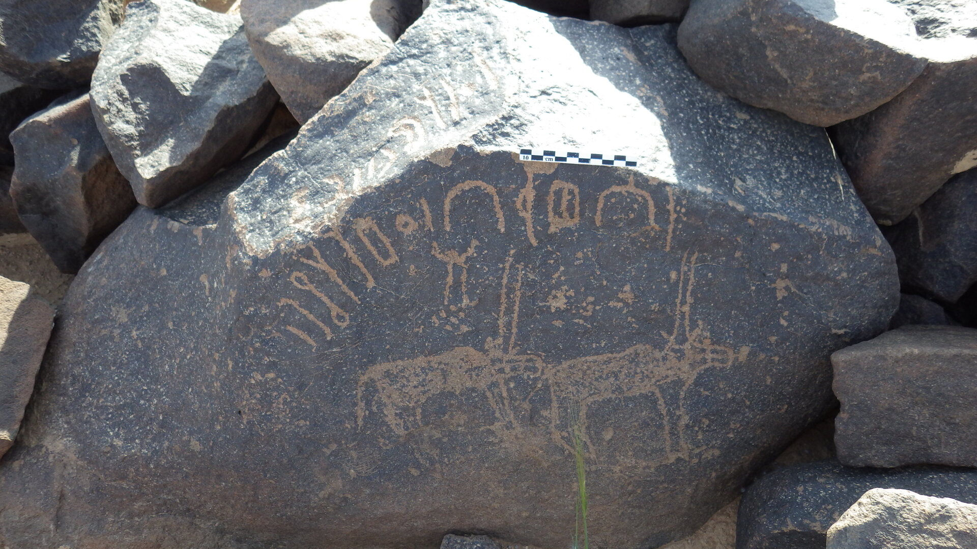 Rimg2958.jpg