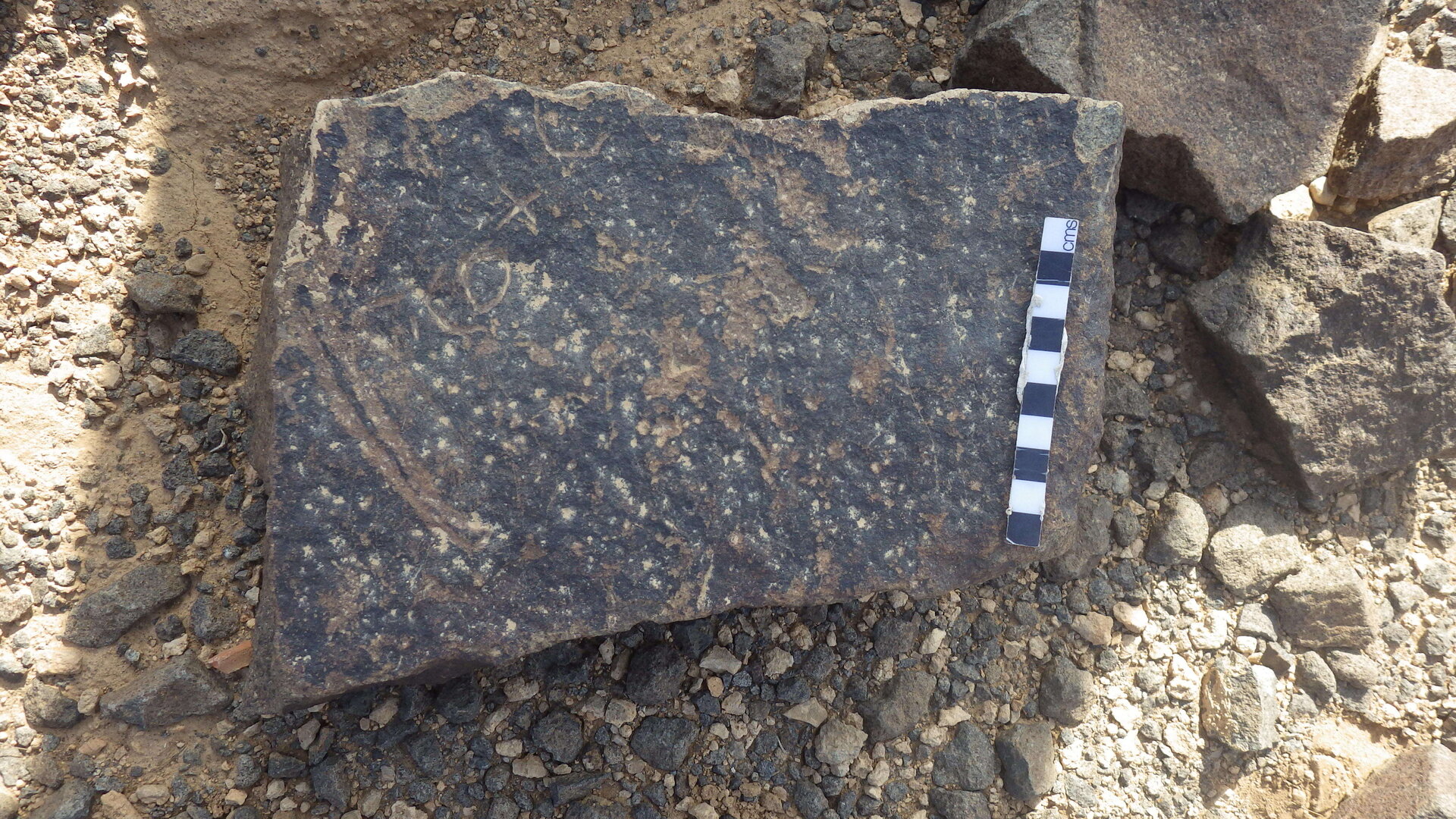 Rimg3558.jpg