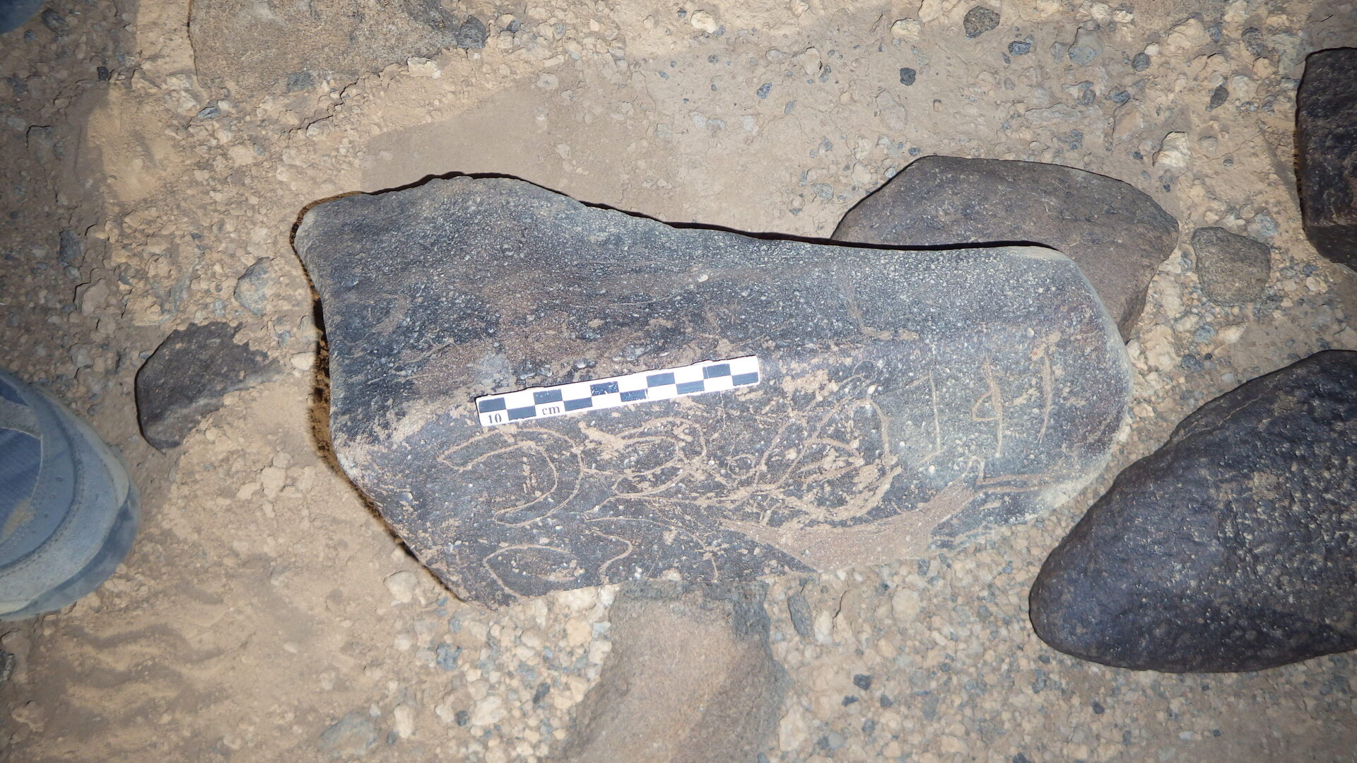 Rimg2969.jpg