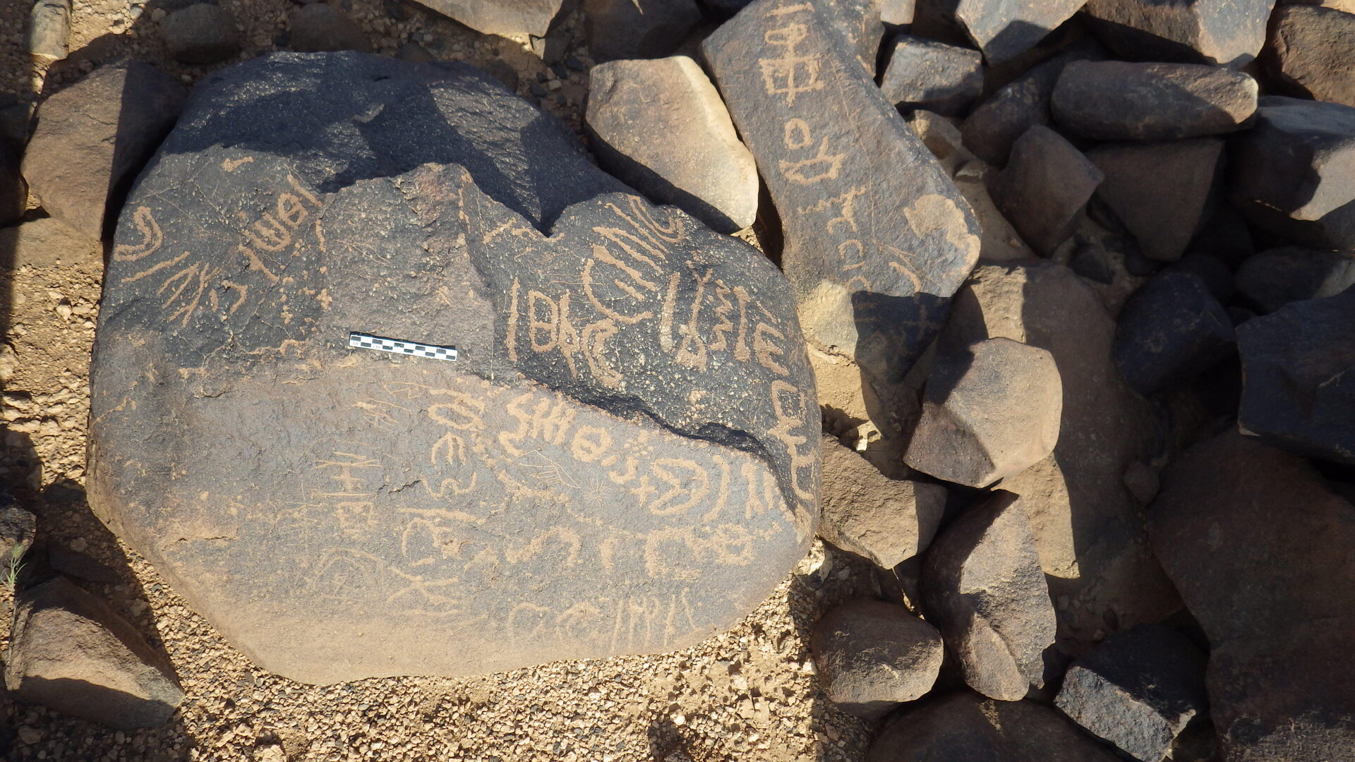 Rimg2990.jpg