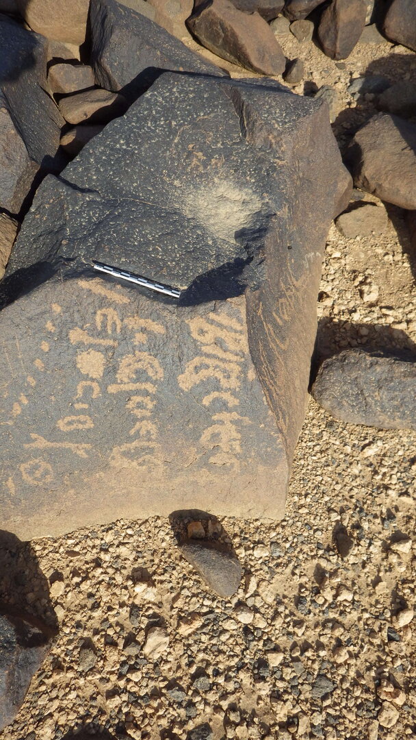 Rimg3004.jpg