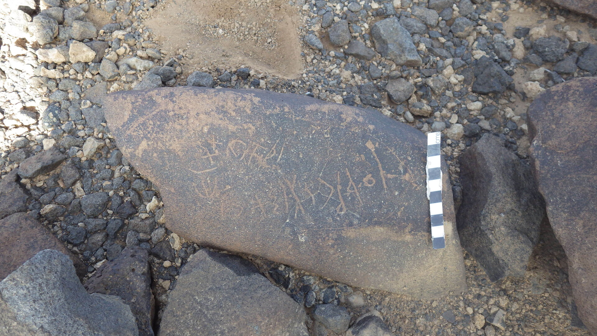 Rimg3564.jpg