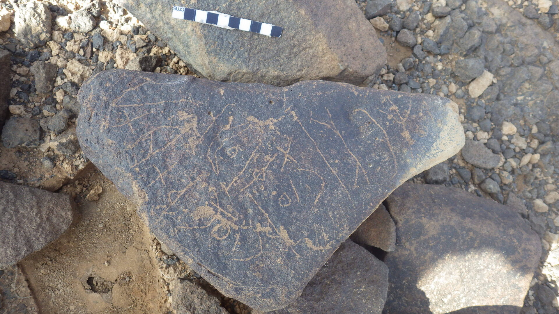 Rimg3567.jpg