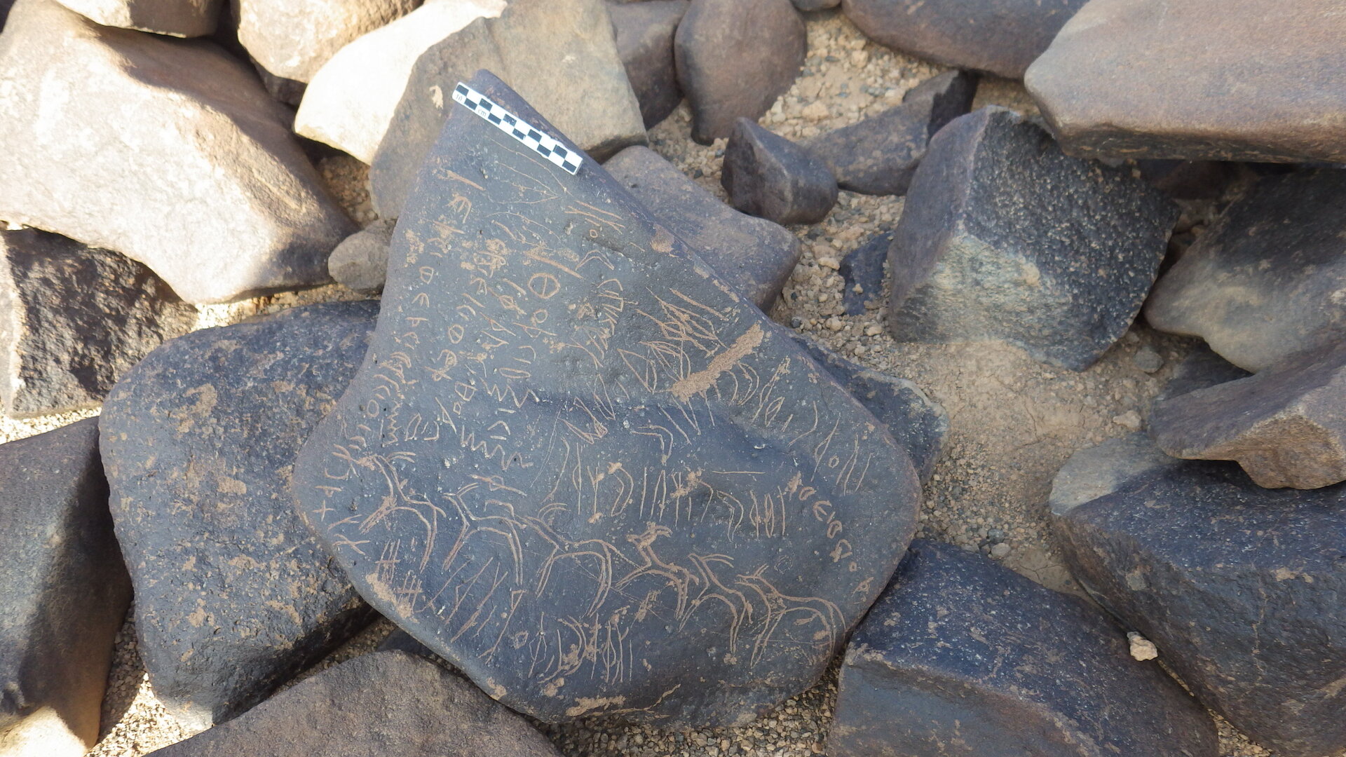 Rimg3080.jpg