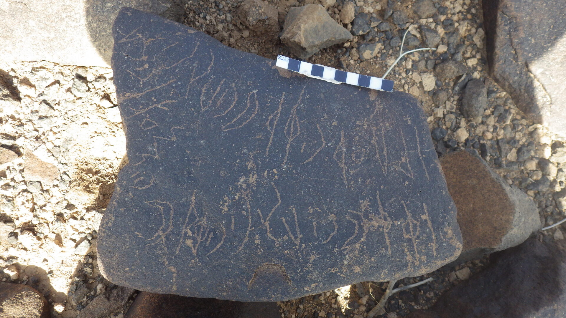 Rimg3572.jpg