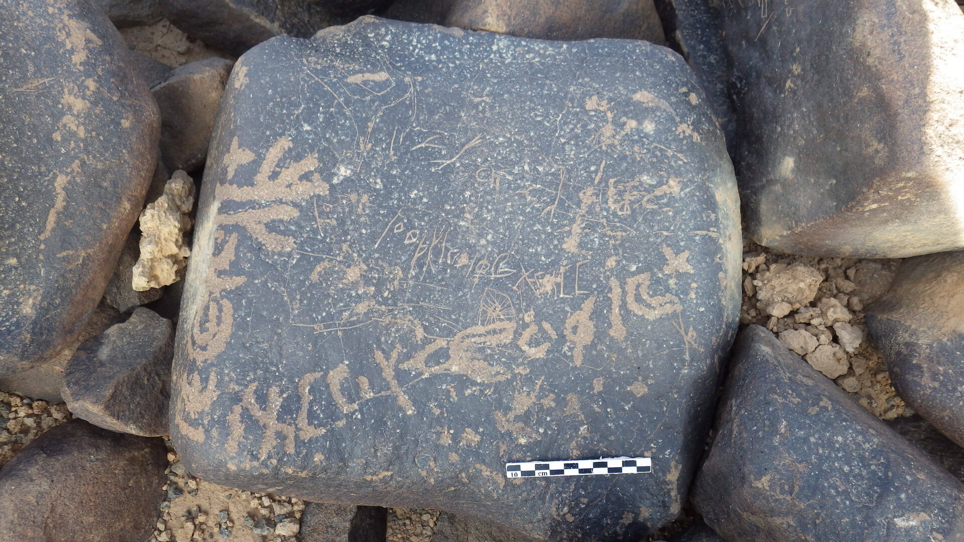 Rimg3091.jpg