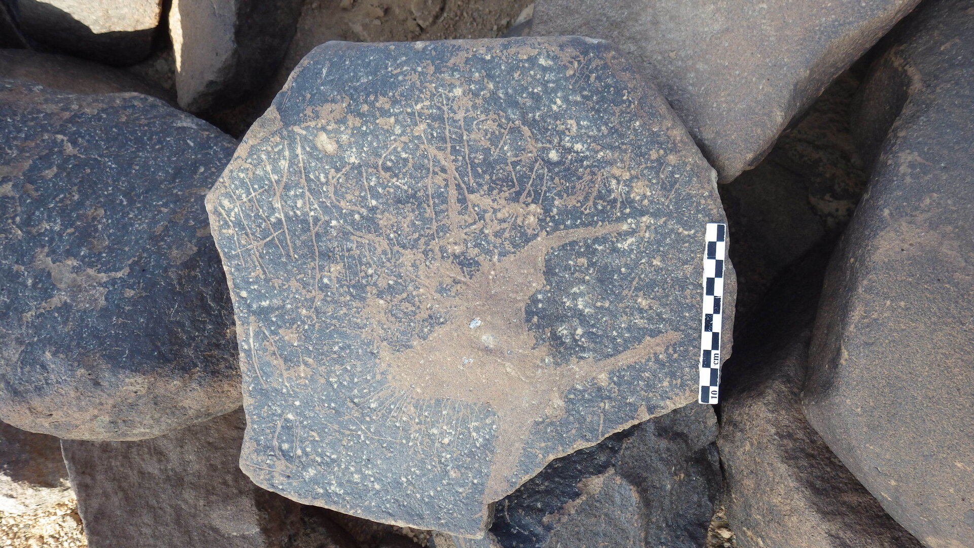 Rimg3100.jpg