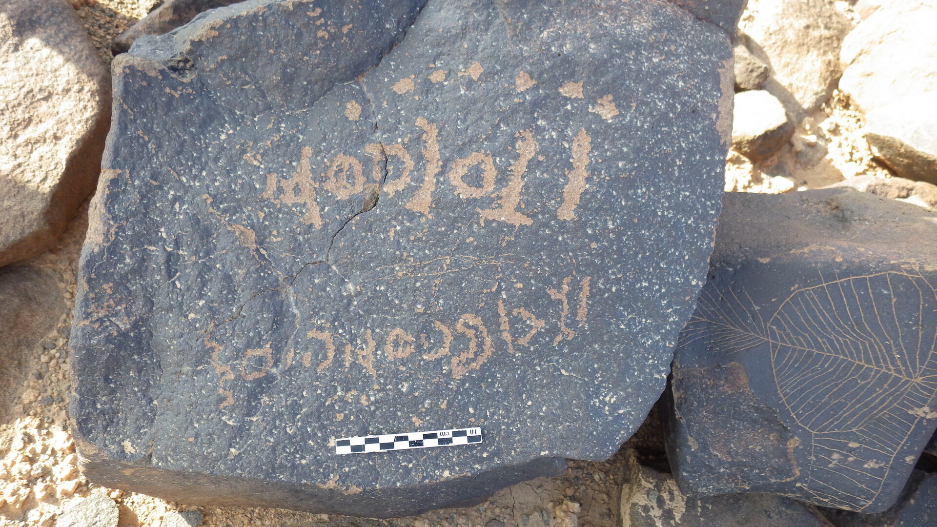 Rimg3118.jpg
