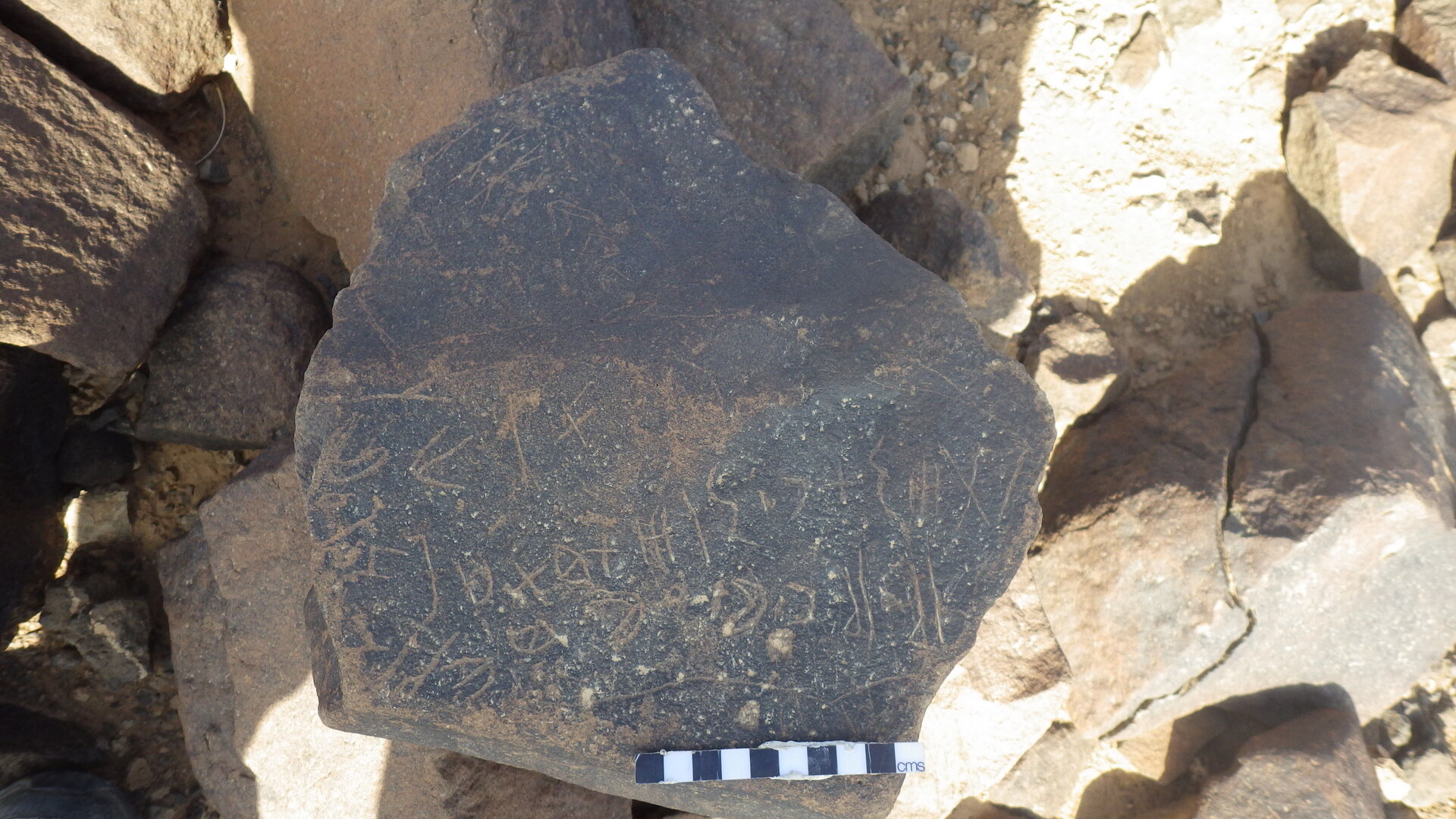 Rimg3580.jpg