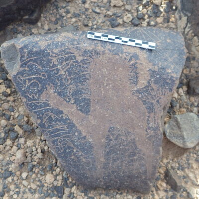 Rimg3124.jpg