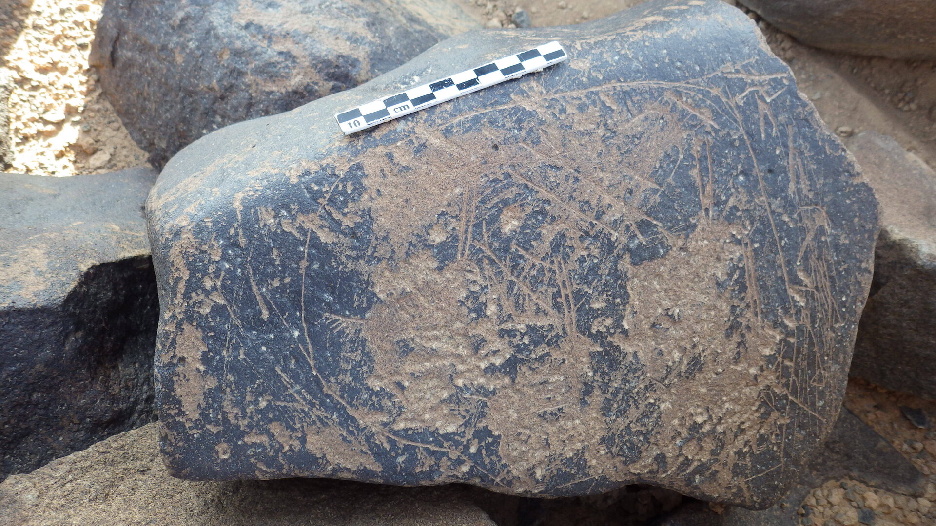 Rimg3129.jpg