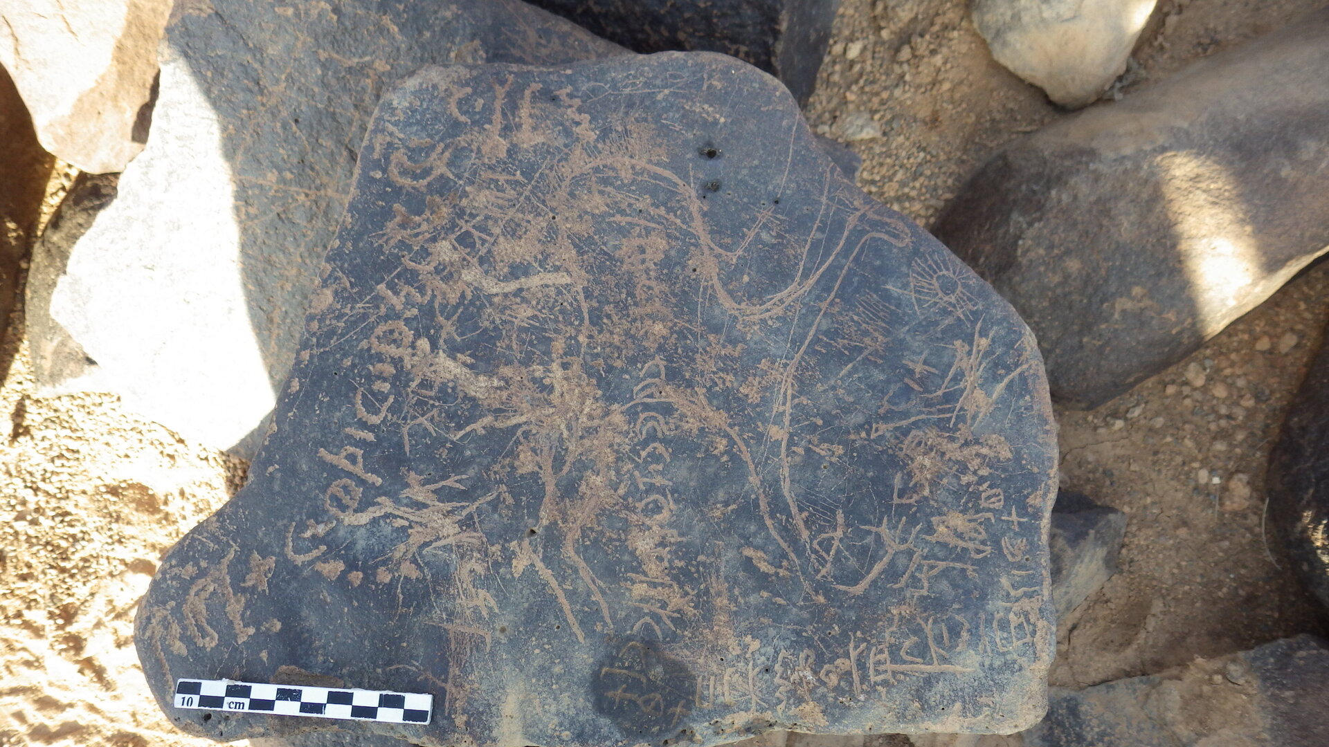 Rimg3144.jpg