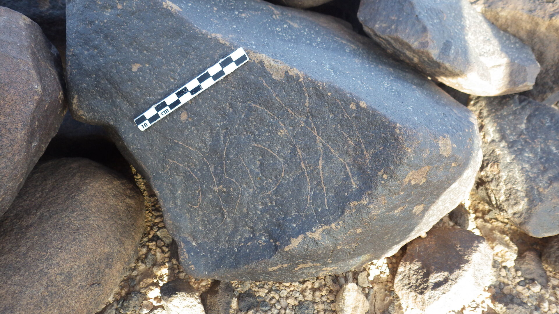 Rimg3155.jpg