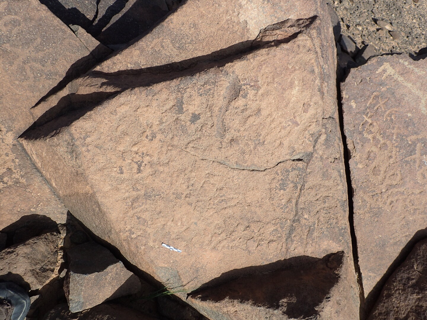 P4220035.jpg
