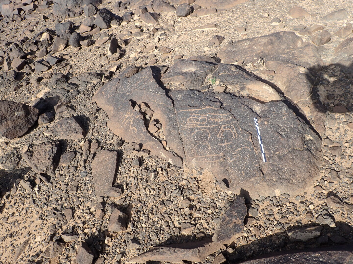 P4220044.jpg