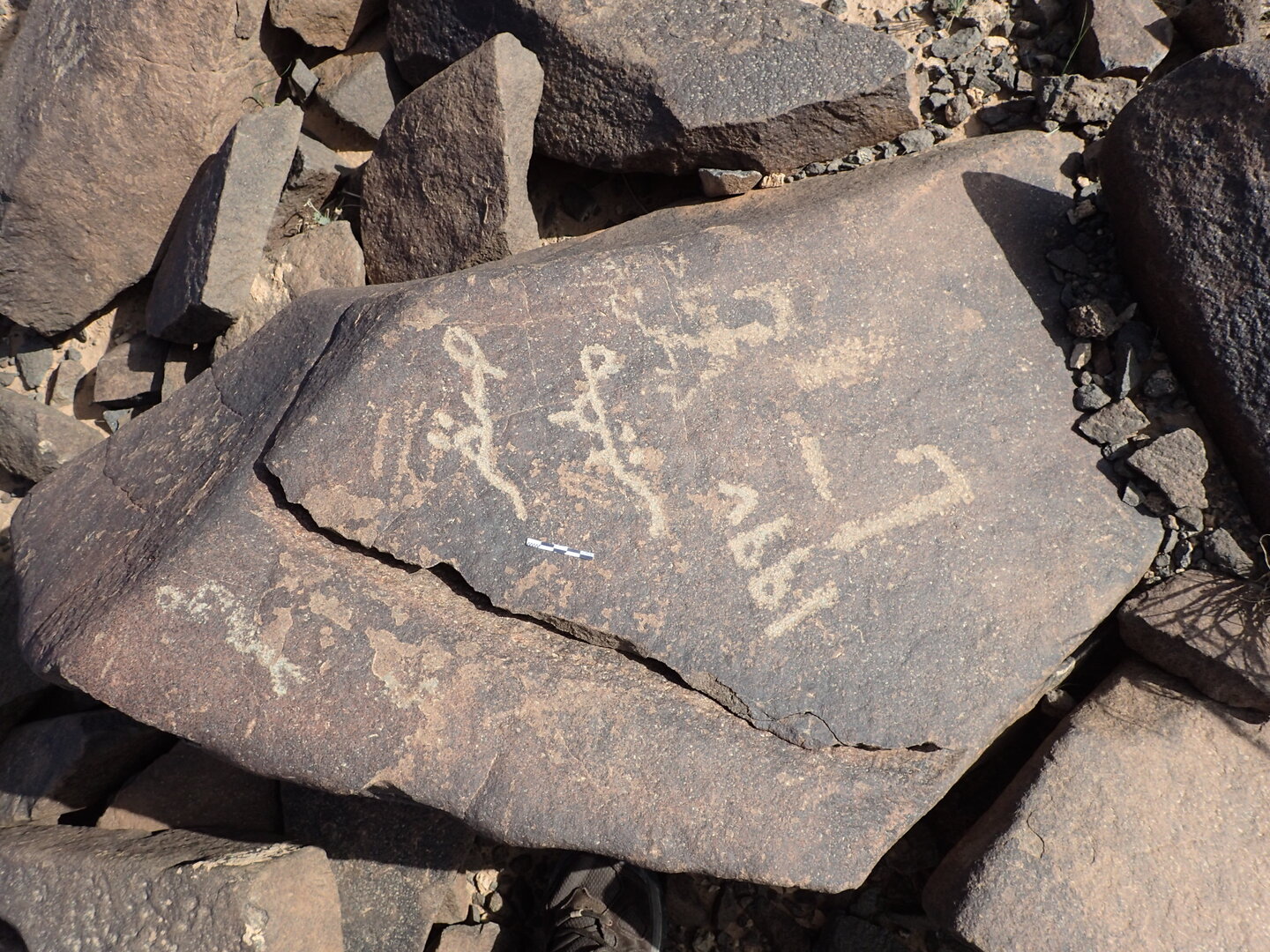P4220056.jpg
