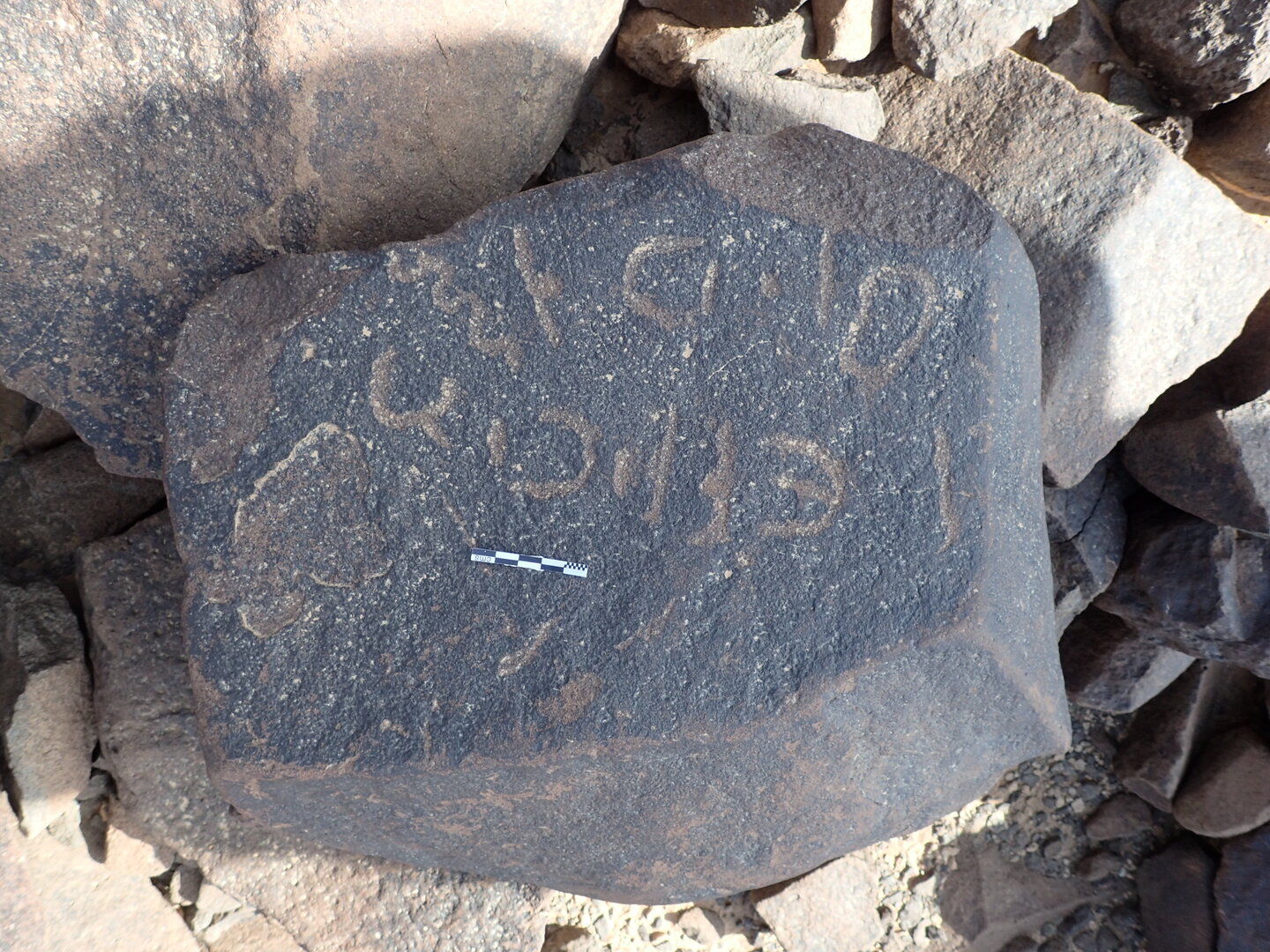 P4220112.jpg