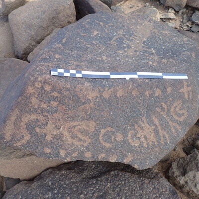 P4220114.jpg