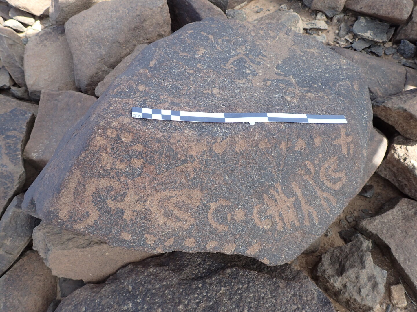 P4220114.jpg
