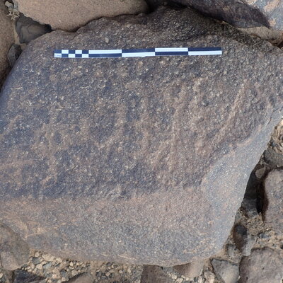 P4220119.jpg