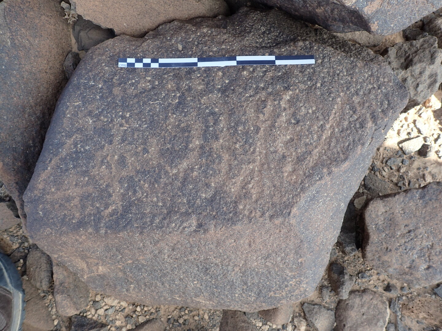 P4220119.jpg