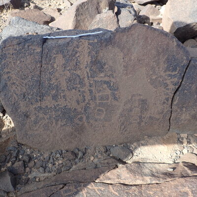 P4220124.jpg