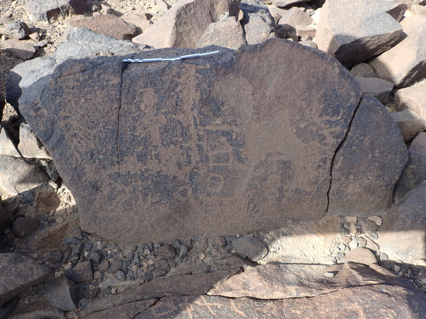 P4220124.jpg