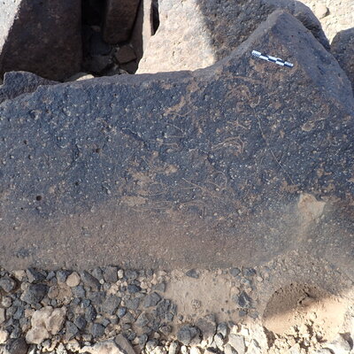 P4220145.jpg