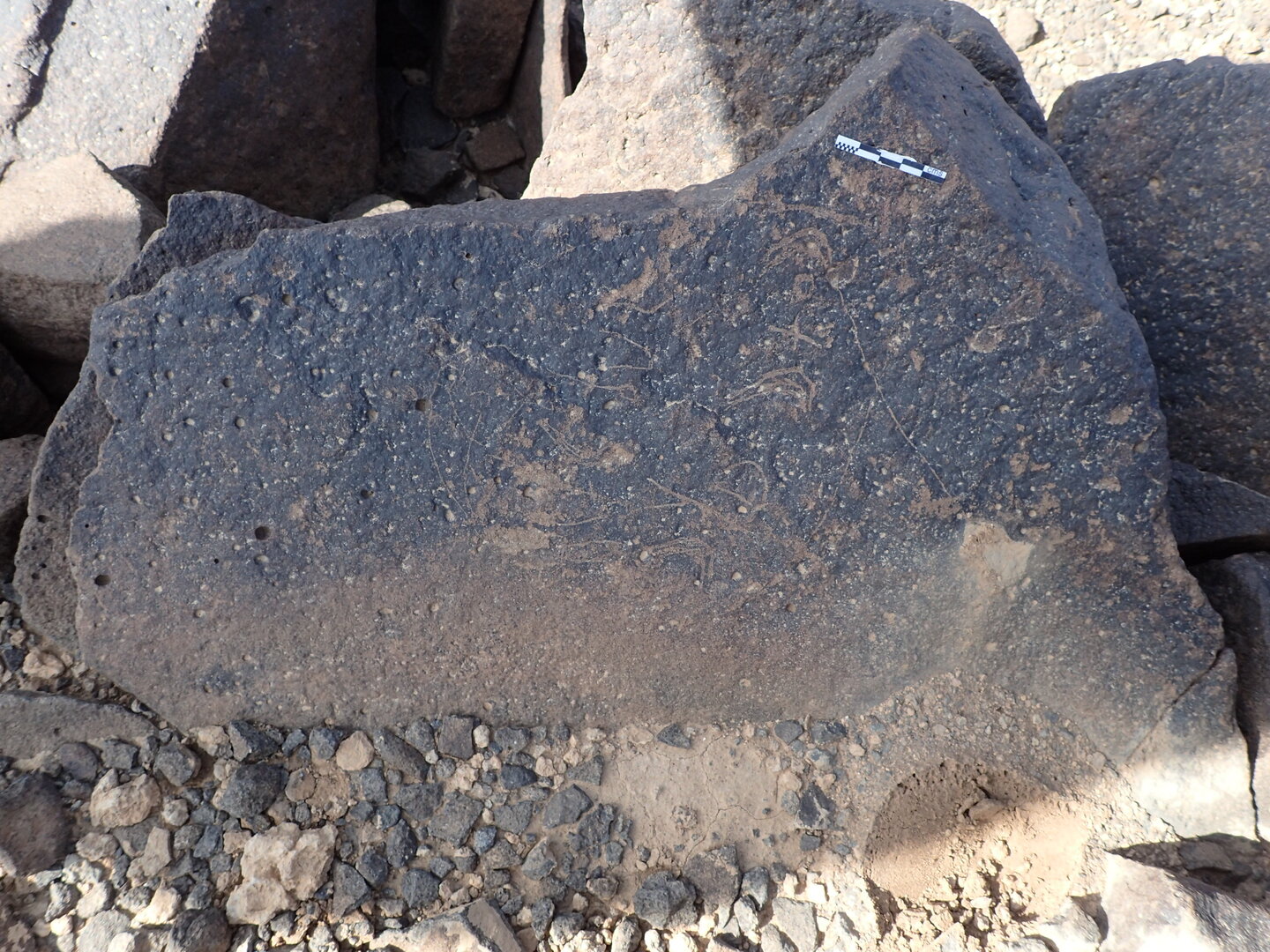P4220145.jpg