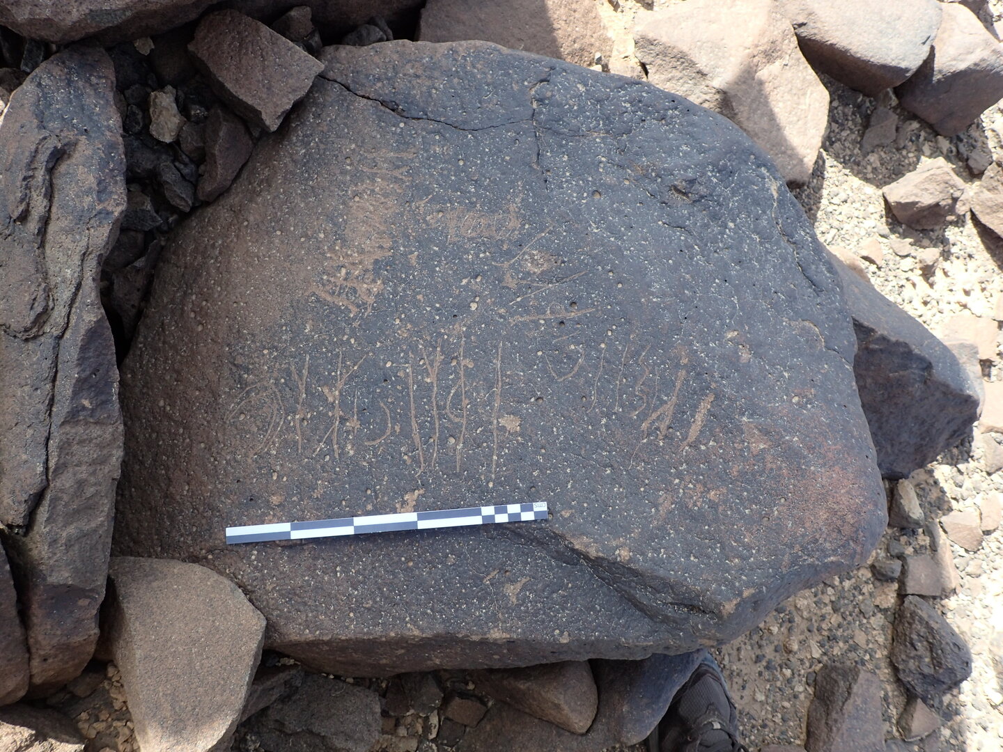 P4220151.jpg
