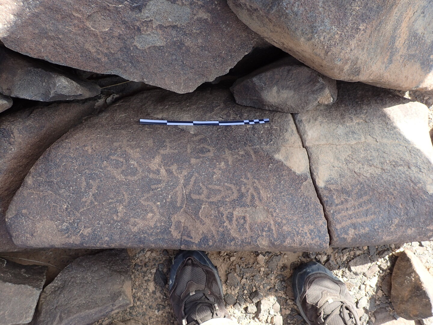 P4220158.jpg