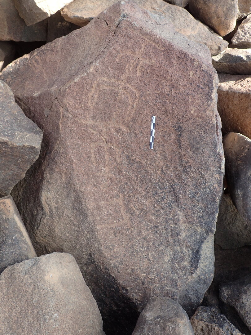 P4220167.jpg