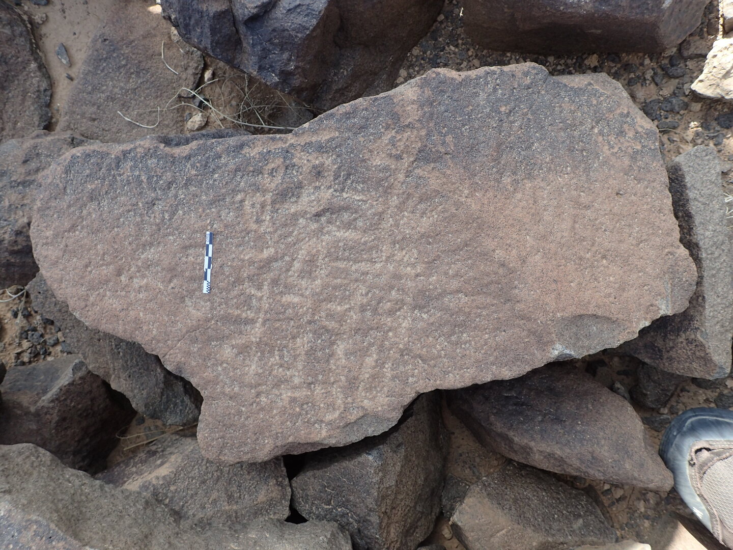 P4220172.jpg