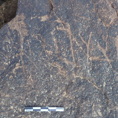 P4220176.jpg