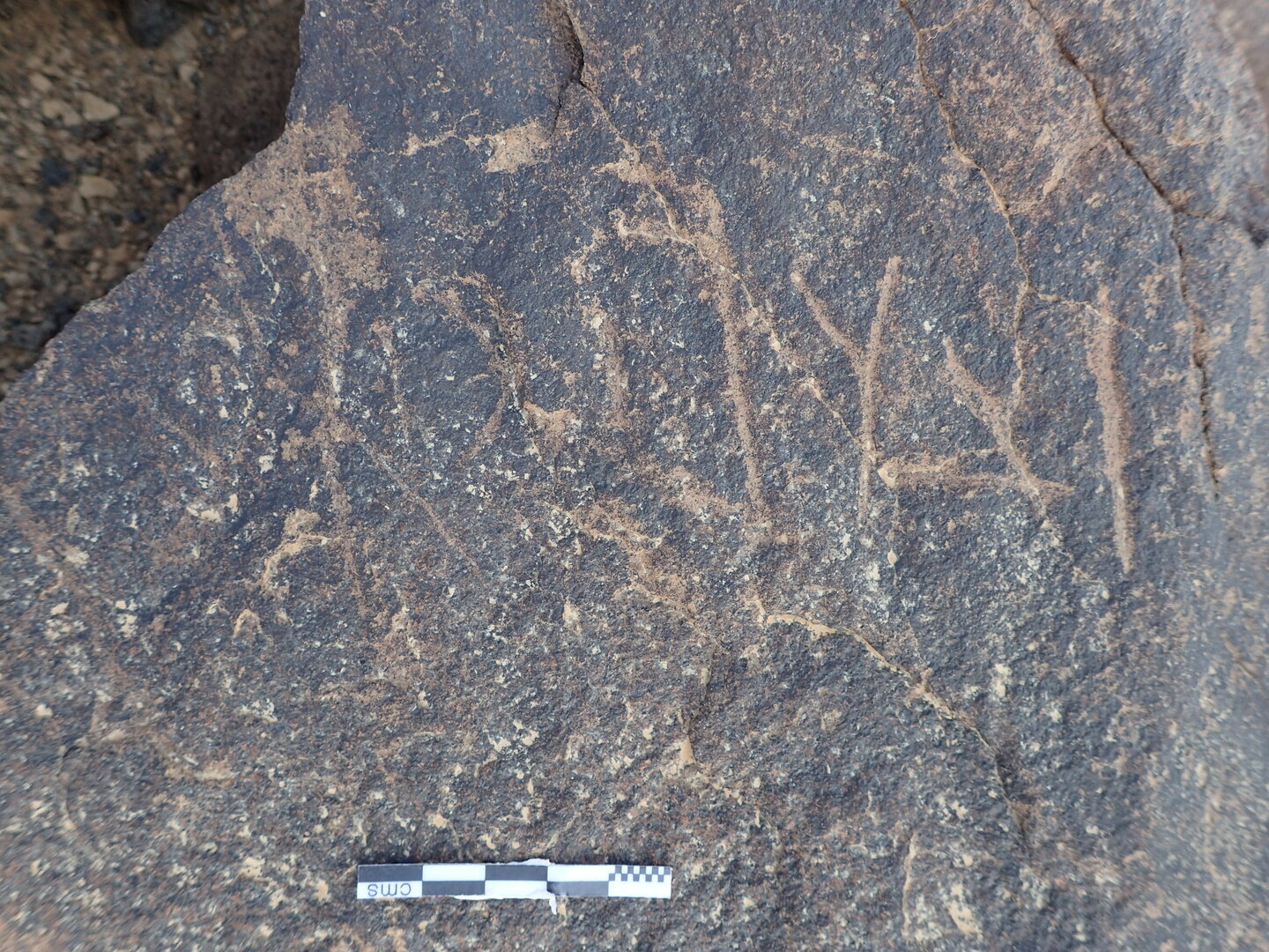 P4220176.jpg