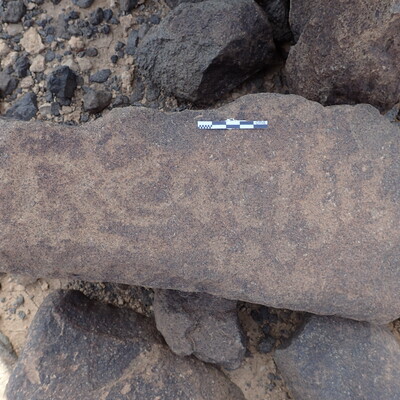 P4220177.jpg