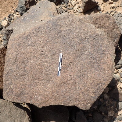 P4220181.jpg