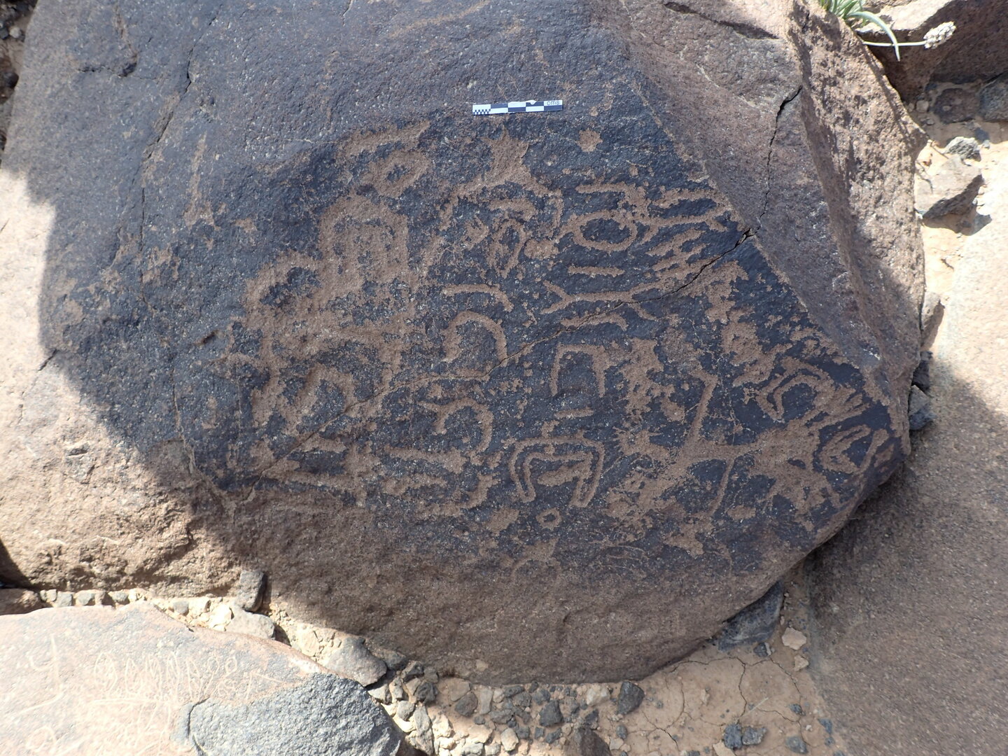P4220197.jpg