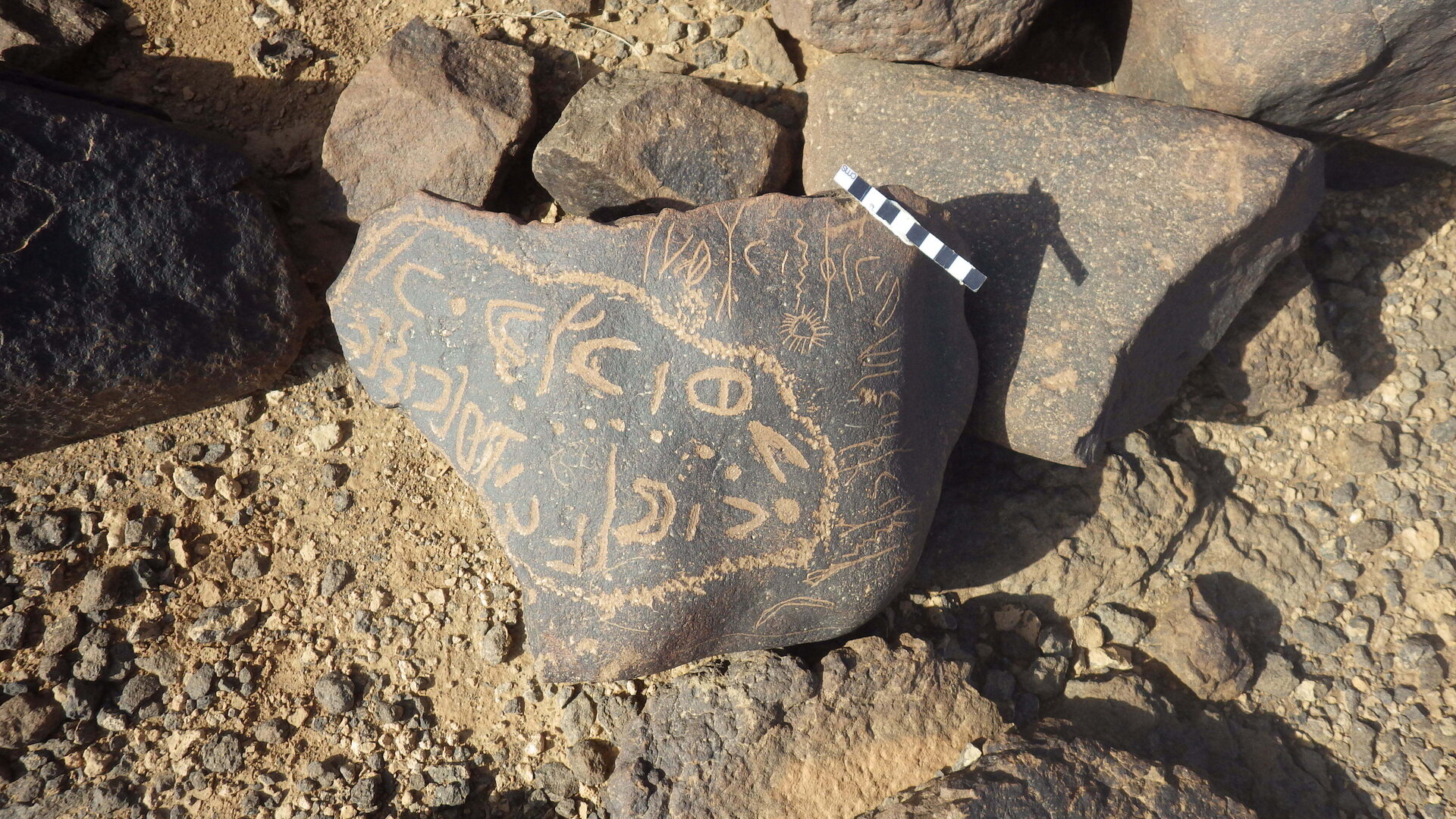 Rimg3596.jpg