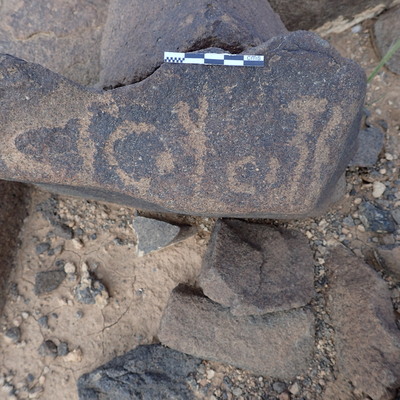 P4220220.jpg