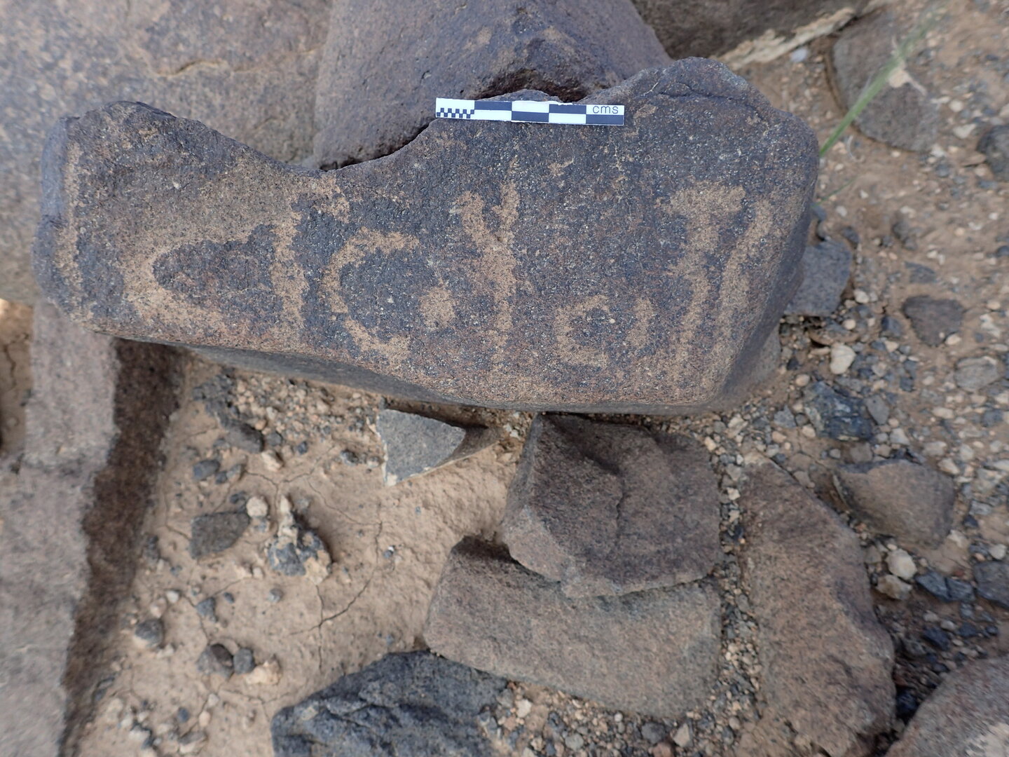 P4220220.jpg