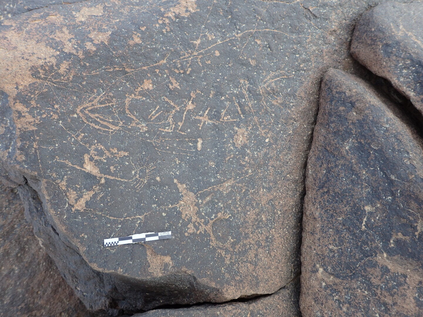 P4220235.jpg