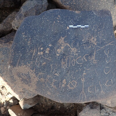 P4220242.jpg