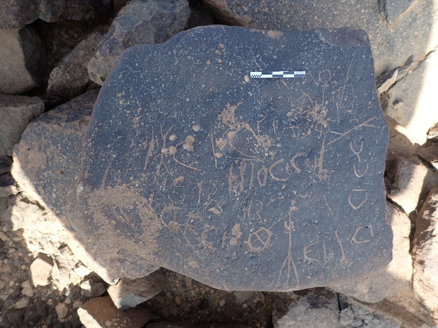 P4220242.jpg