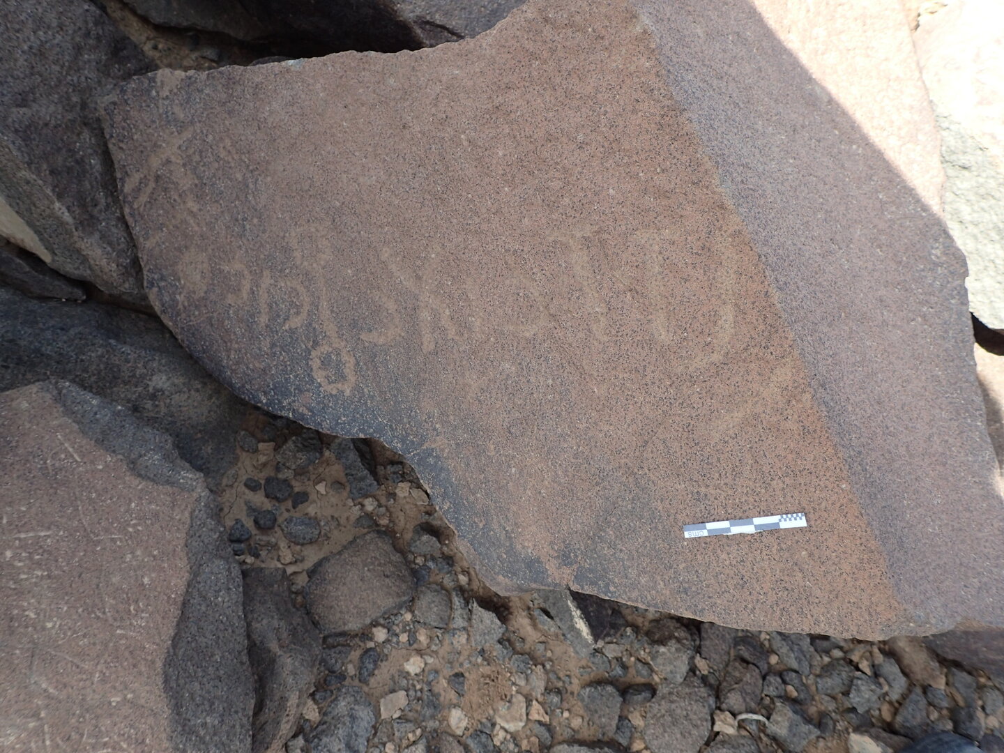 P4220292.jpg