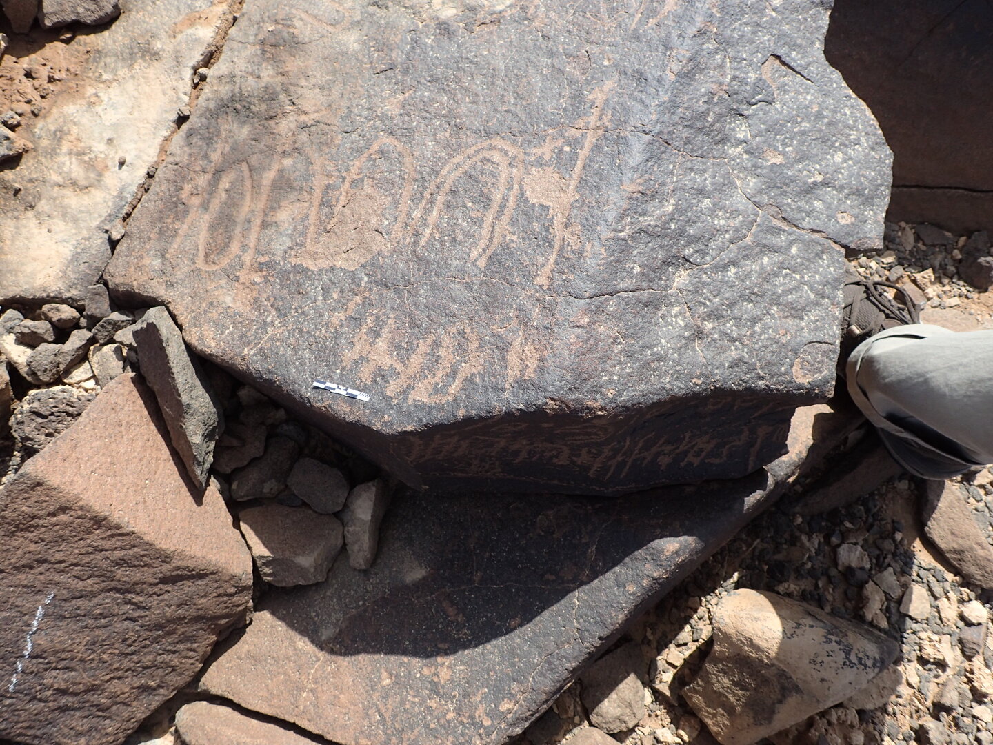 P4220317.jpg