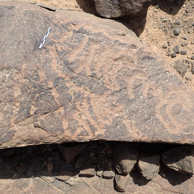 P4220325.jpg