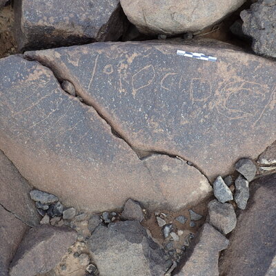 P4220331.jpg
