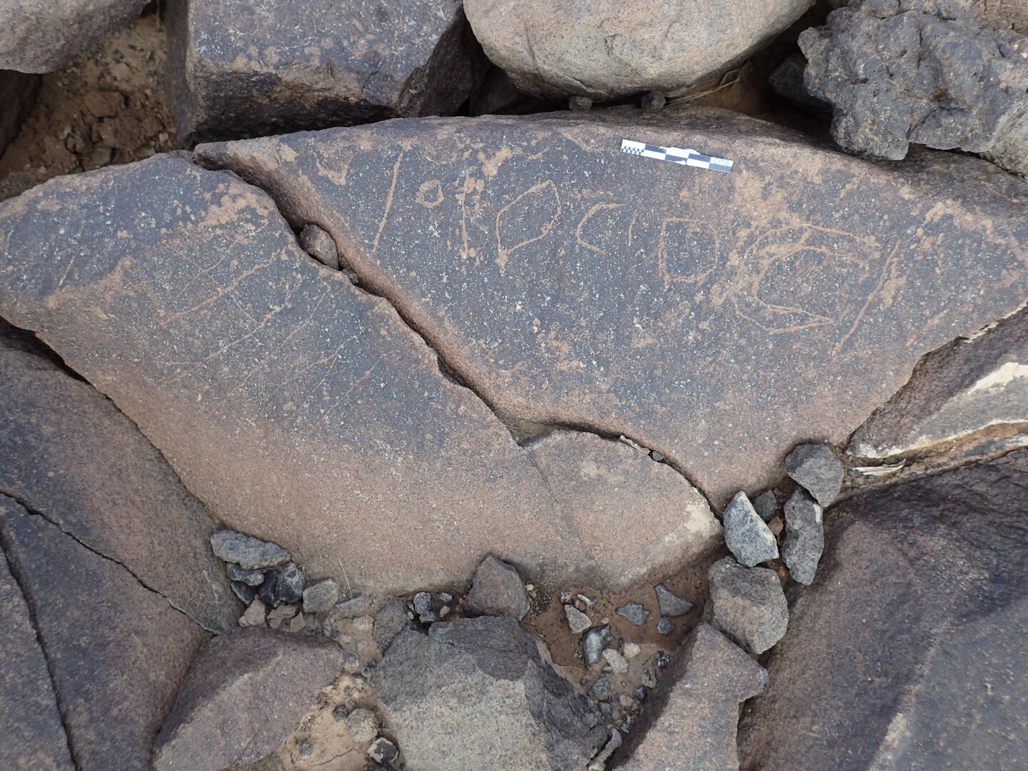 P4220331.jpg