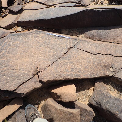 P4220334.jpg